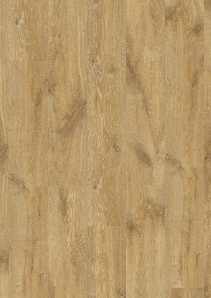 Louisiana oak natural