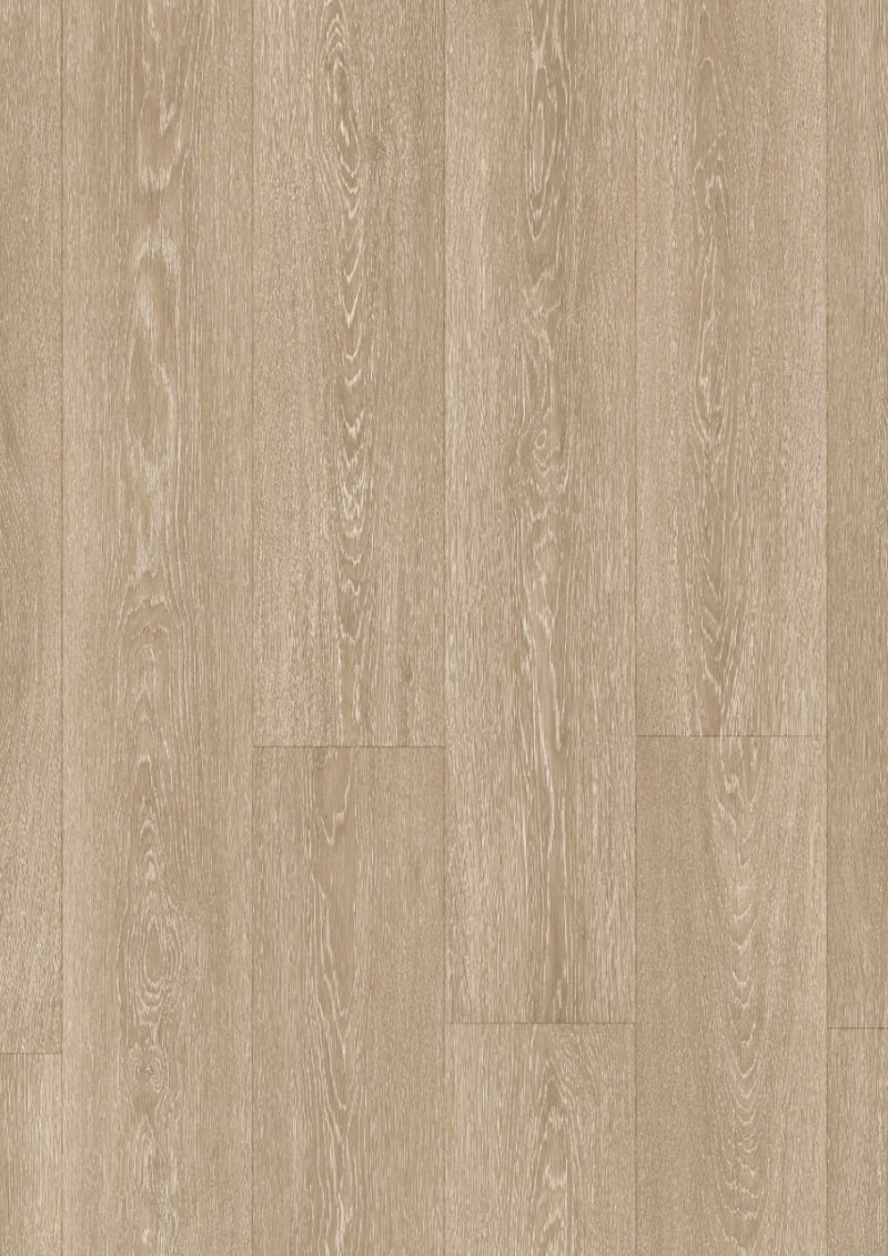 Valley oak light brown