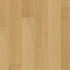 Natural varnished oak