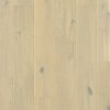 Wintry forest oak extra matt