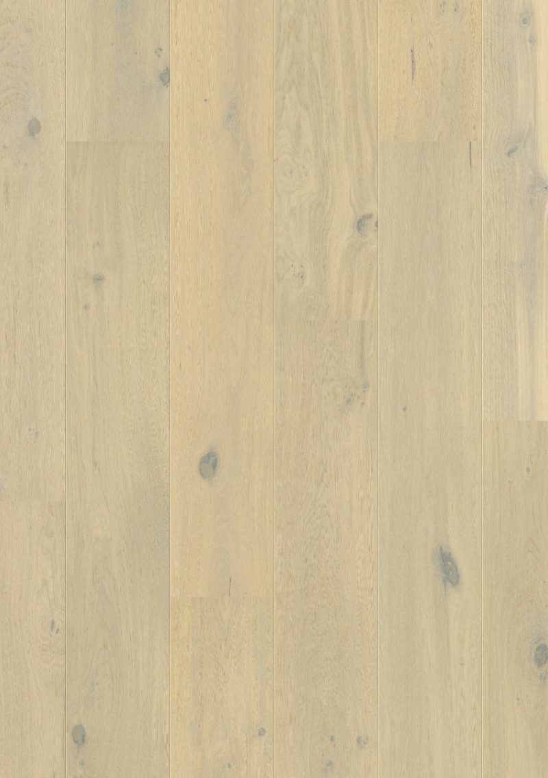 Wintry forest oak extra matt