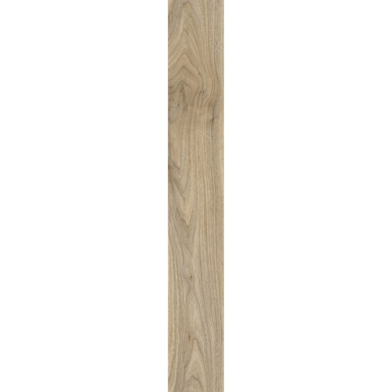 English Walnut 20226 - Image 4