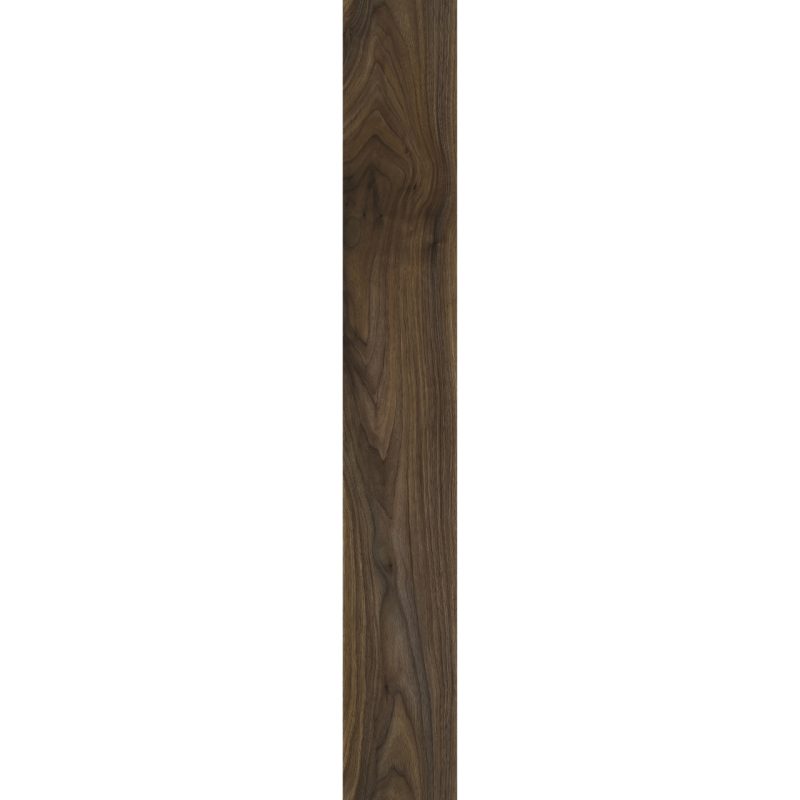 English Walnut 20896 - Image 4