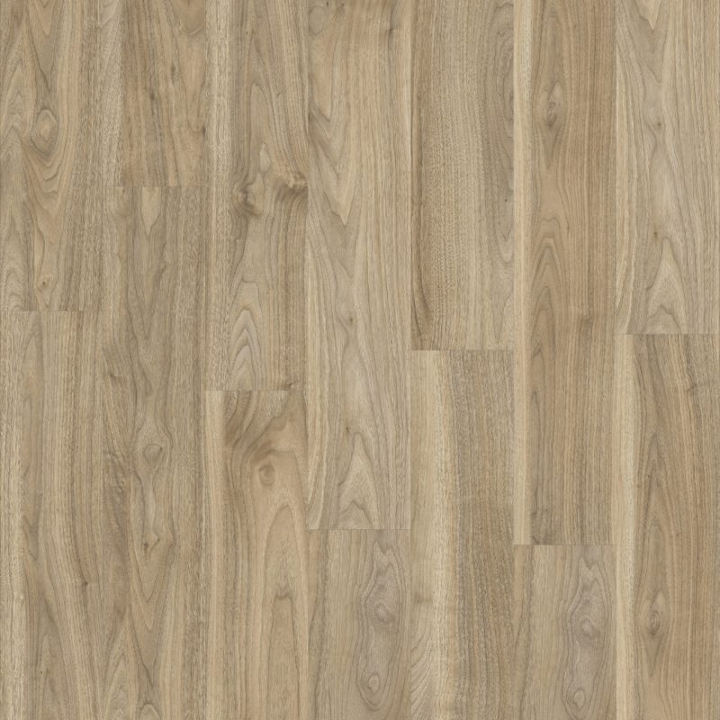 English Walnut 20226