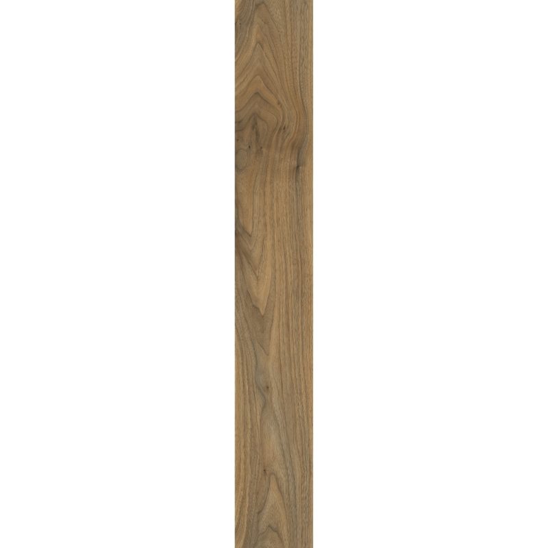 English Walnut 20565 - Image 4