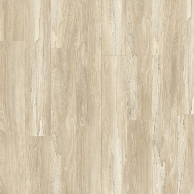 Marsh Wood 22326