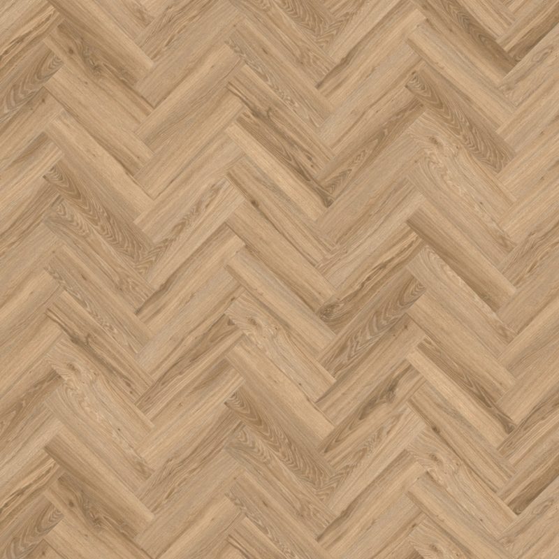 Blackjack Oak 22229