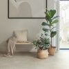 Oyster concrete