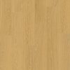 Pure oak honey