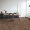 Autumn oak chocolate - Image 3
